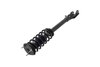 1335883R Suspension Strut and Coil Spring Assembly - image 3
