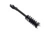 1335883R Suspension Strut and Coil Spring Assembly - image 4