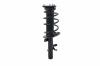 1335892R Suspension Strut and Coil Spring Assembly - image 1