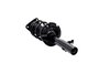1335893R Suspension Strut and Coil Spring Assembly - image 2