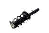 1335893R Suspension Strut and Coil Spring Assembly - image 3