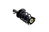 1335893R Suspension Strut and Coil Spring Assembly - image 4