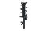 1335894L Suspension Strut and Coil Spring Assembly - image 1
