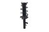 1335894R Suspension Strut and Coil Spring Assembly - image 1