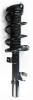 1335896L Suspension Strut and Coil Spring Assembly - image 1