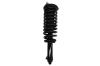 1335899R Suspension Strut and Coil Spring Assembly - image 1