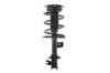 1335924L Suspension Strut and Coil Spring Assembly - image 1