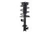 1335924R Suspension Strut and Coil Spring Assembly - image 1