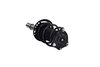 1335981L Suspension Strut and Coil Spring Assembly - image 4