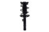 1335981R Suspension Strut and Coil Spring Assembly - image 1