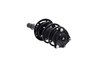 1335981R Suspension Strut and Coil Spring Assembly - image 4