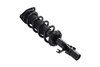 1335989L Suspension Strut and Coil Spring Assembly - image 2