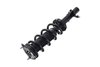 1335989L Suspension Strut and Coil Spring Assembly - image 3