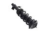 1335989L Suspension Strut and Coil Spring Assembly - image 4