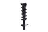 1335989R Suspension Strut and Coil Spring Assembly - image 1