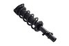 1335989R Suspension Strut and Coil Spring Assembly - image 2