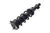 1335989R Suspension Strut and Coil Spring Assembly - image 3