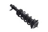 1335989R Suspension Strut and Coil Spring Assembly - image 4