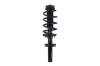 1335991 Suspension Strut and Coil Spring Assembly - image 1