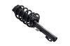 1335991 Suspension Strut and Coil Spring Assembly - image 2