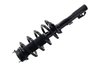 1335991 Suspension Strut and Coil Spring Assembly - image 3