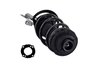 1335992R Suspension Strut and Coil Spring Assembly - image 4