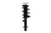 1335994L Suspension Strut and Coil Spring Assembly - image 1