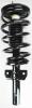 1336304 Suspension Strut and Coil Spring Assembly - image 1