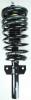 1336314 Suspension Strut and Coil Spring Assembly - image 1