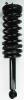 1336316 Suspension Strut and Coil Spring Assembly - image 1