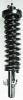 1336321 Suspension Strut and Coil Spring Assembly - image 1