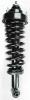1336323 Suspension Strut and Coil Spring Assembly - image 1