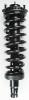 1336324 Suspension Strut and Coil Spring Assembly - image 1