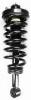 1336328 Suspension Strut and Coil Spring Assembly - image 1
