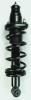 1336340R Suspension Strut and Coil Spring Assembly - image 1