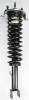 1336342 Suspension Strut and Coil Spring Assembly - image 1