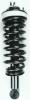 1336343 Suspension Strut and Coil Spring Assembly - image 1