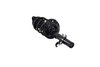 1337006L Suspension Strut and Coil Spring Assembly - image 2