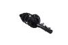 1337006R Suspension Strut and Coil Spring Assembly - image 1