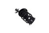 1337006R Suspension Strut and Coil Spring Assembly - image 3