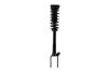 1337007 Suspension Strut and Coil Spring Assembly - image 1