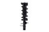 1337027L Suspension Strut and Coil Spring Assembly - image 1