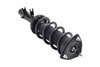 1337027L Suspension Strut and Coil Spring Assembly - image 4