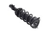1337027R Suspension Strut and Coil Spring Assembly - image 4