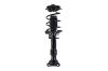 1337061 Suspension Strut and Coil Spring Assembly - image 1