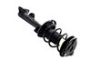 1337061 Suspension Strut and Coil Spring Assembly - image 4
