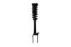 1337065 Suspension Strut and Coil Spring Assembly - image 1