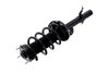 1337077L Suspension Strut and Coil Spring Assembly - image 3