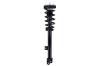 1337098L Suspension Strut and Coil Spring Assembly - image 1