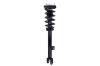 1337098R Suspension Strut and Coil Spring Assembly - image 1